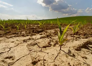 Укргідрометцентр фіксує поглиблення ґрунтової посухи