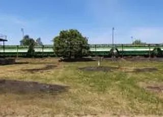 Україна та Марокко нарощують економічне партнерство – товарообіг сягнув 250 млн доларів