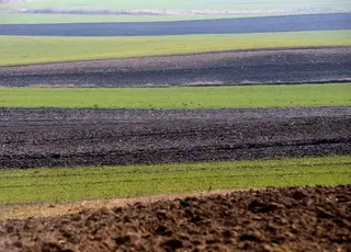 Україна щороку втрачає 24 млрд грн через тіньове використання 4 млн гектарів земель