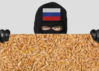 Стало відомо, куди продали вкрадене українське зерно