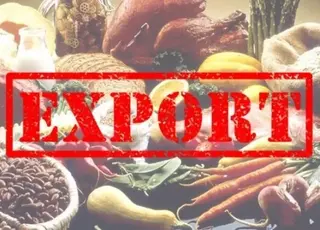 ТОП-5 країн-імпортерів української агропродукції у травні 2025 року