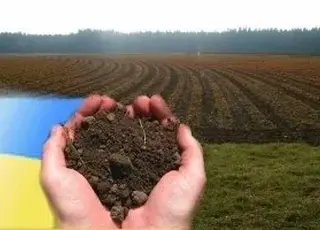 На Чернігівщині вартість гектара с/г землі становить 2 тис доларів