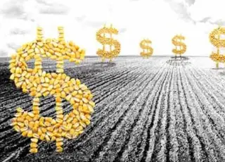 З України масово вивозять «чорне зерно»