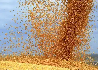 Український зерновий експорт знизився майже на третину