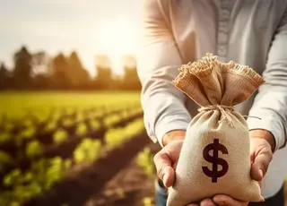 Аграрії сплатили 1,19 млрд грн за користування державними землями