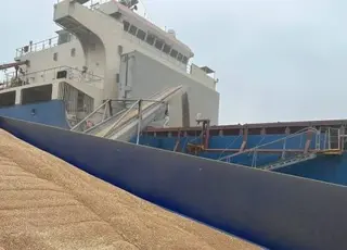 Термінал Agromino перевалив понад 90 тисяч тонн зерна від початку 2025/26 МР