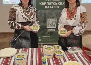 У Карпатах зростає виробництво коров’ячої бриндзи