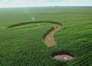 На Житомирщині викрито земельну аферу на 1309 га