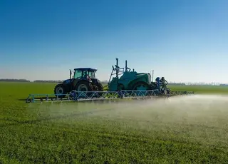 Адміністрація Трампа вимагають судового розгляду у справі Syngenta та Corteva щодо пестицидів