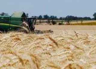 Встановлено мінімальні експортні ціни агропродукції на жовтень