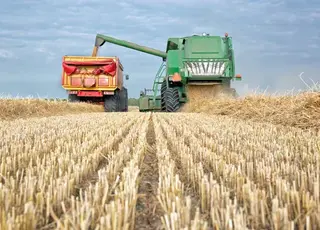 МХП завершив збирання врожаю із 330 тис га і отримав 2 млн т