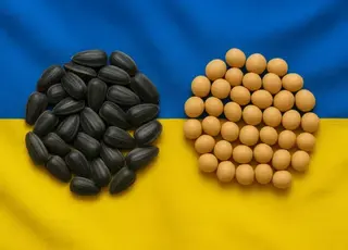 Уряд розгляне звільнення експортерів сої та ріпаку від 10% мита