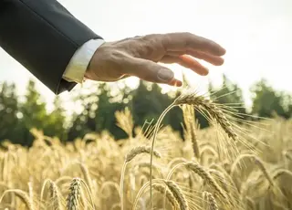 Уряд запускає державну підтримку страхування агропродукції