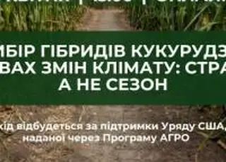 Вибір гібридів кукурудзи в умовах змін клімату: стратегія, а не сезон