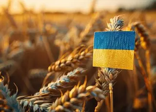 Експорт зернових з України у 2025/26 МР скоротився майже на 40% порівняно з минулим роком