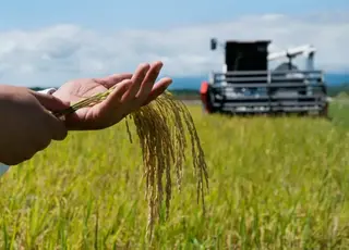 Коли можна здавати орендовану землю в суборенду і що для цього потрібно