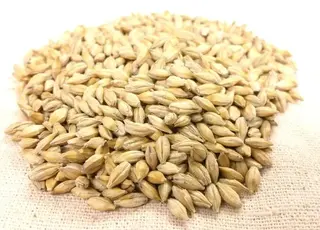 Ціни на ячмінь нового врожаю зростають