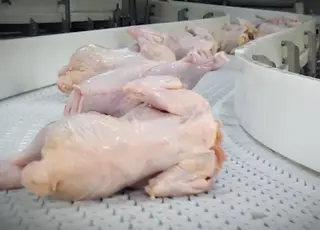 Експорт м’яса птиці з України в березні став рекордним від початку 2022 р