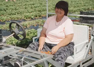 Фермерка з Харківщини більше 6 років вирощує посухостійку і прибуткову культуру