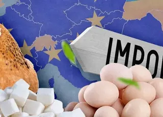 ЄС збільшила імпорт української агропродукції