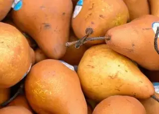 В Україні прогнозують дефіцит груші та зростання цін через травневі морози