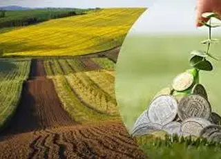 В Україні планують випустити земельні облігації