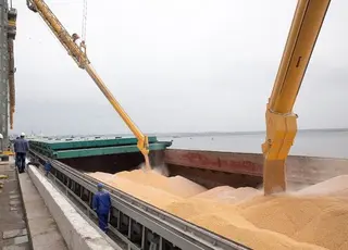 На початку року порти Великої Одеси збільшили темпи вивантаження зерна