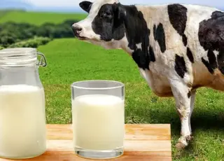 В Україні подешевшало молоко