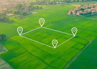 НАБУ розслідує земельну схему в інтересах відомого агрохолдингу