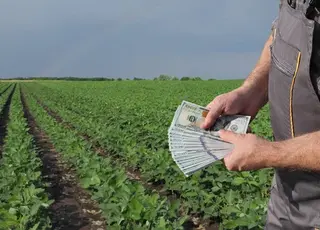 Фермерські господарства стали лідерами по цінах за один гектар землі