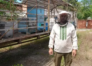 На Херсонщині бджоляр зібрав перший урожай рапсового меду