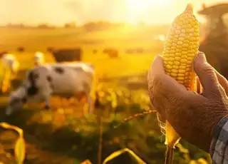 Держава у 2026 р розширює підтримку аграріїв