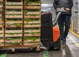 Уряд запускає грантову програму для будівництва овочесховищ і фруктосховищ