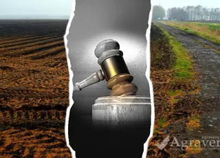 Прокуратура оскаржує рішення громад про продаж земель фермерам