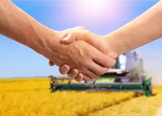 Користування землею без договору оренди: основні ризики та поради