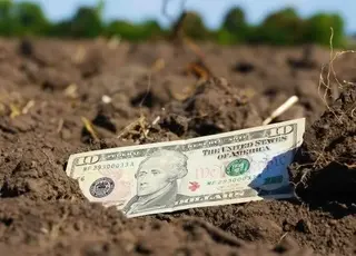 В Україні фермерам систематично  відмовляють у викупі земельних ділянок постійного користування