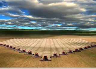 Агрохолдинги обробляють лише 12% землі