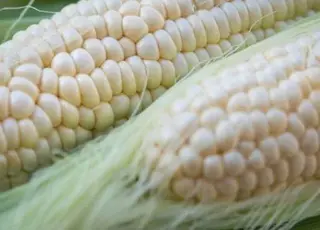 Як вибрати найкращу молоду кукурудзу: поради для покупців