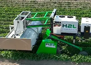 Вчені створили автономного робота для селекції картоплі