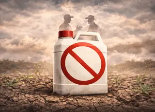 Експерти розповіли, які пестициди зникнуть з українського ринку після євроінтеграції