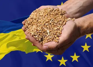 ЄС судитиметься з країнами, які блокують імпорт українського зерна