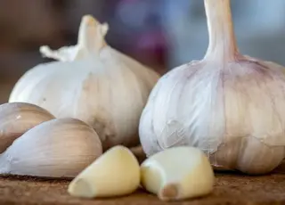 Український часник на межі зникнення