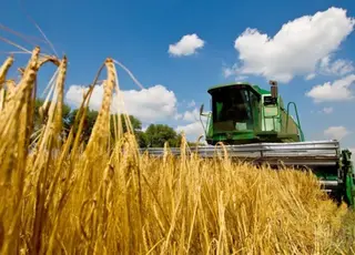 В Україні намолочено понад 2,6 млн тонн зернових нового врожаю