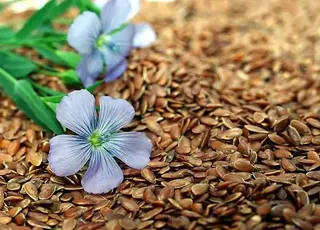 Україна в жовтні наростила на 26% експорт льону