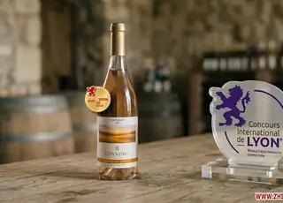 Вино з Житомирщини здобуло високі нагороди у Франції