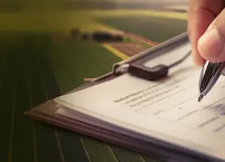 Як працює автоматичне поновлення земельних договорів в Україні