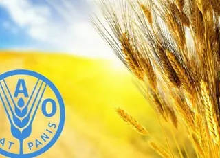 Україна увійшла до Ради ФАО
