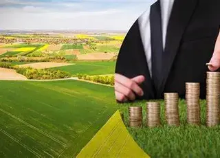 Стало відомо, хто сплачує податки при оренді землі