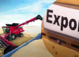 Аграрний експорт України на початку 2026 р зріс у вартості на 9,3%