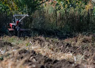 Як діяти, якщо хтось обробляє вашу землю без згоди